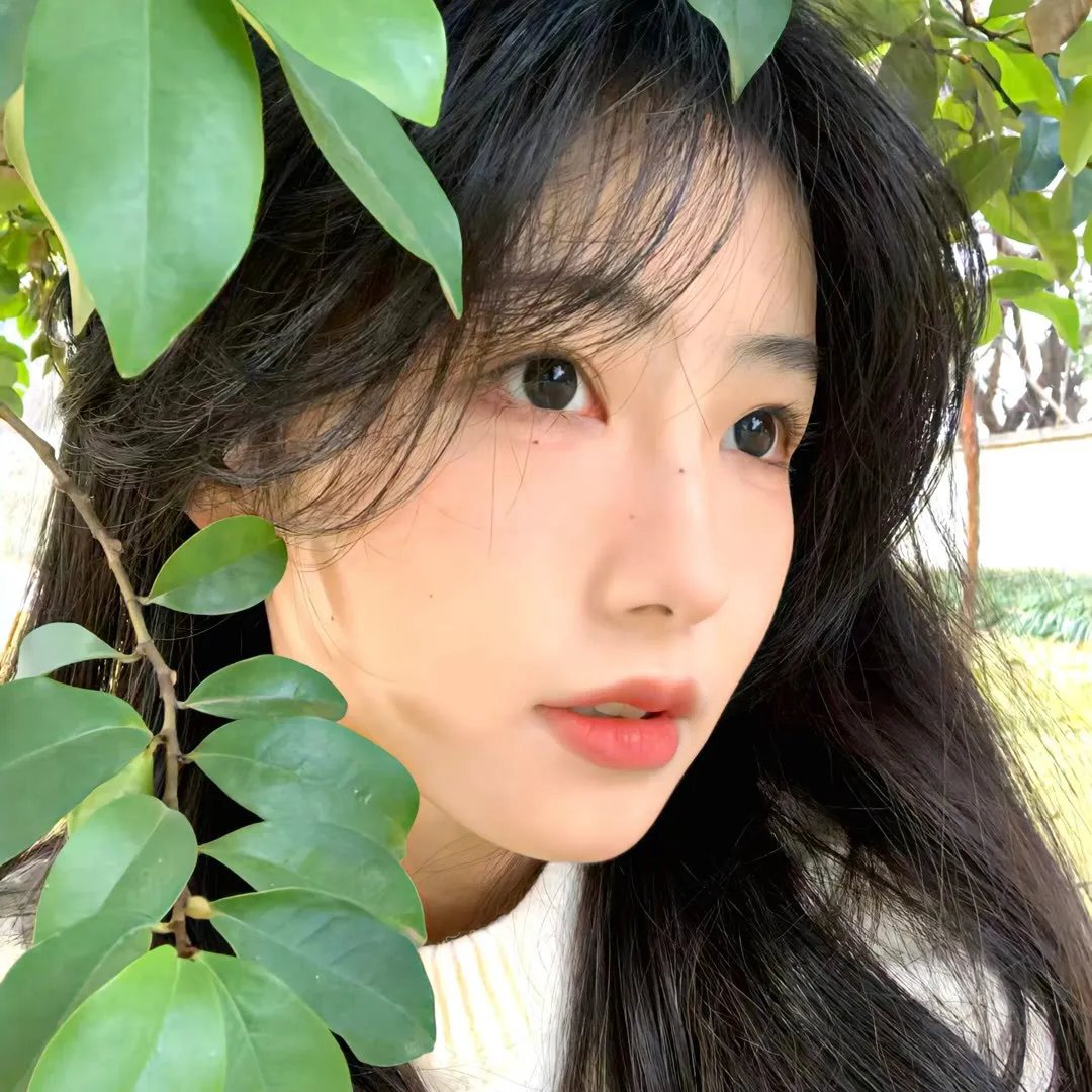 暗影游戏第一季