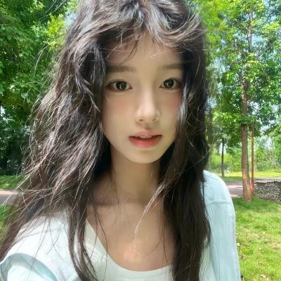 鹬